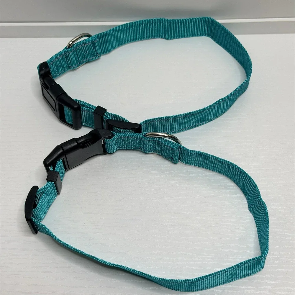 NEW 2 Pack Reflective Safety Dog Collars Teal Green Adjustable Medium Set